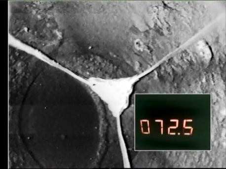 Телеинспекции для водозаборных скважин